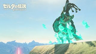 認め合える存在【ゼルダの伝説 ブレス オブ ザ ワイルド】#5