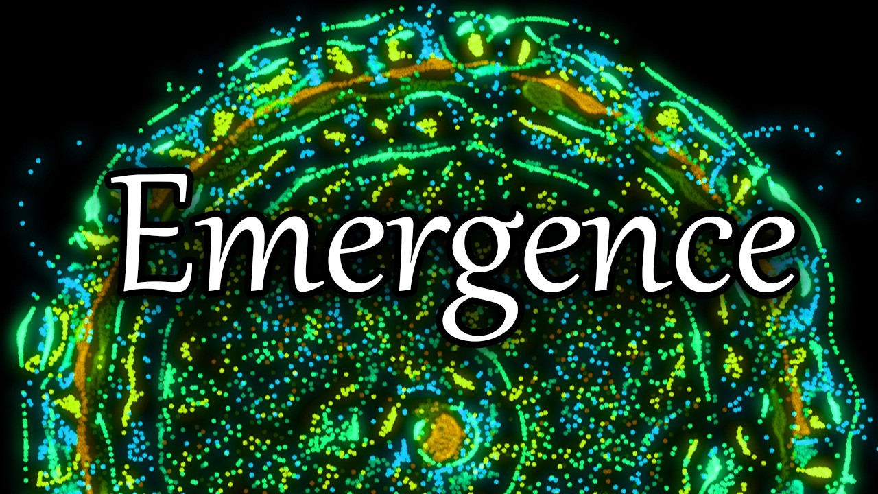 Emergent Complexity