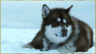 White Christmas and In the Bleak Midwinter - Moody Blues