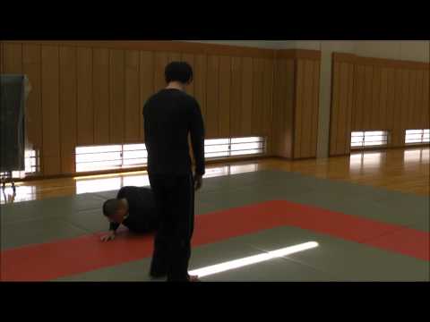 触れくずし－練習風景　【合気道の達人・武術の達人・武道の達人研究　素材を使えば誰でも達人！？　素材開発による非意識力・達人研究のたくみの会】