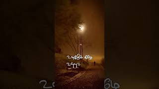 Download lagu Mayakkama thayakkama song lyrics✨மயக்கமா தயக்கமா பாடல் வரிகள்✨whatsapp status video✨ mp3