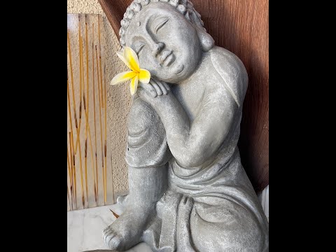 KAZA KOKOS ARRIVAL UPDATE 2023  (760.310.0284)