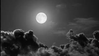 Koschcoroth - minstrel smrti