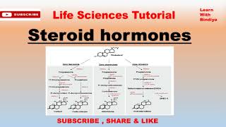 Steroid Hormones || Biosynthesis of Steroid Hormones || Important topic for all UG/PG Classes ||