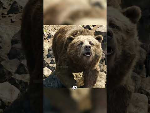 The Jungle’s Final Judgment Part 4