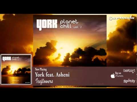 York feat. Asheni - Iceflowers