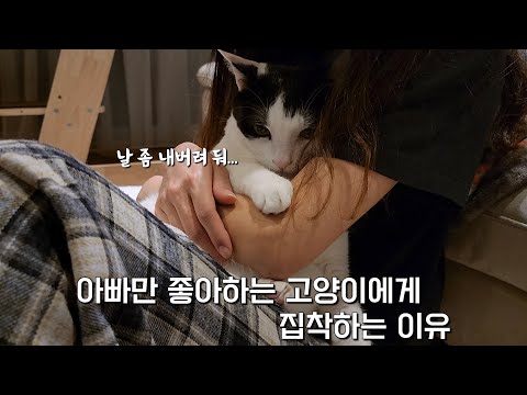 엄마가 아빠만 좋아하는 고양이에게 집착하는 이유는??