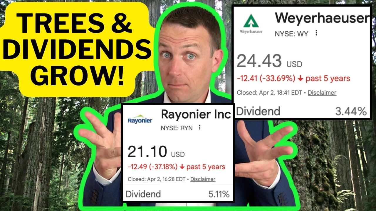 Lumber Stocks / Weyerhaeuser WY + Rayonier RYN