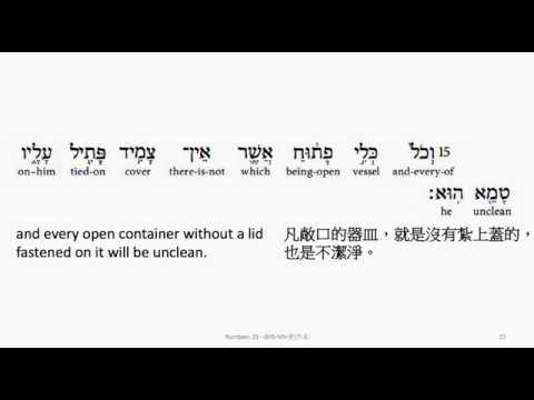 Numbers 19: Hebrew interlinear audio Bible 希伯來文聖經:民數記第十九章
