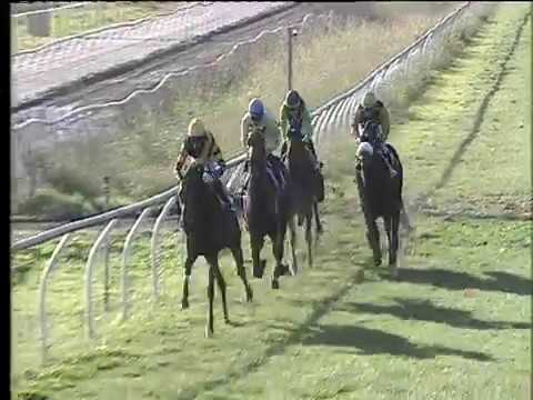 Galoppo 15/11/2017 - 1ª corsa