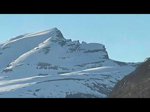 One complete year at Northern Norway Tromsø with phenomenal Nature 🤩