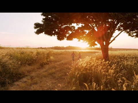 Quem sabe isso quer dizer amor - Milton Nascimento