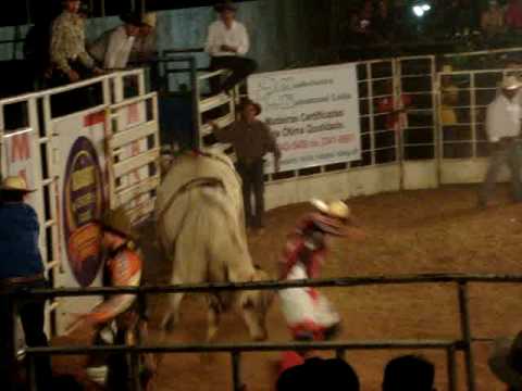 Cutia " Rodeio de Itapólis"