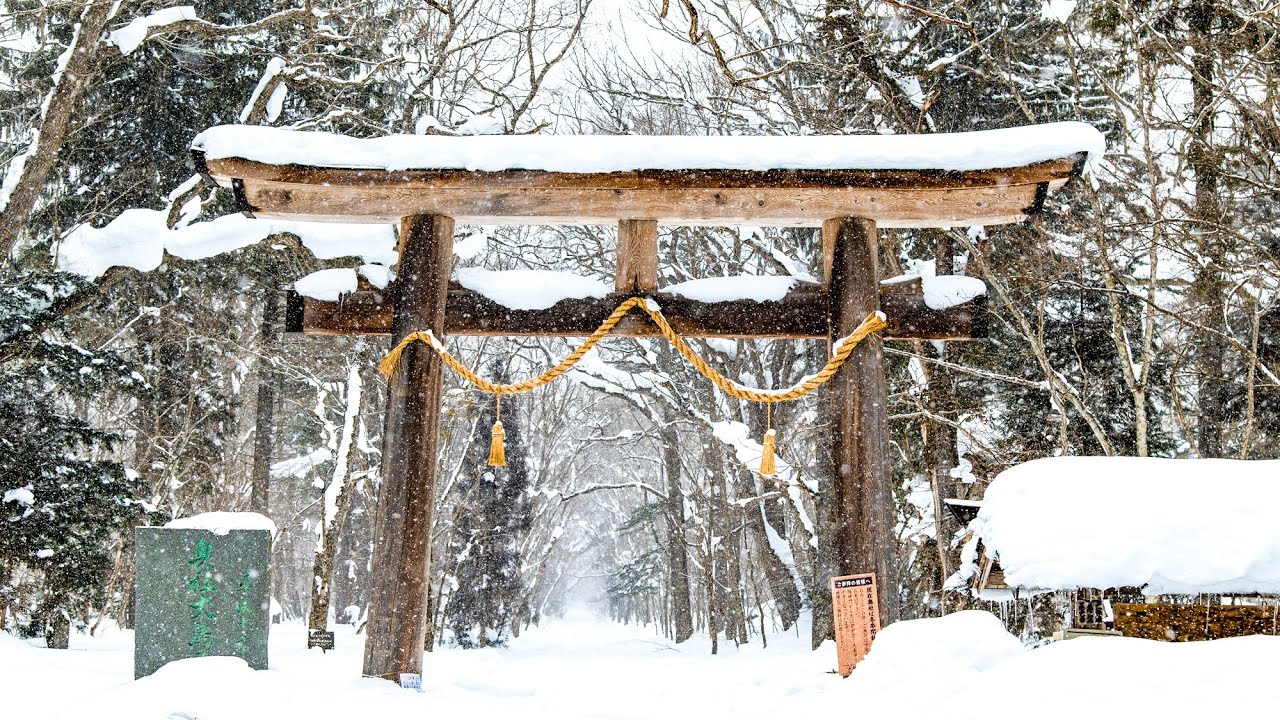 Deep Snow Japan Day Trip 🇯🇵 | Tokyo to Togakushi Shrine, Nagano by Hokuriku Shinkansen & Bus