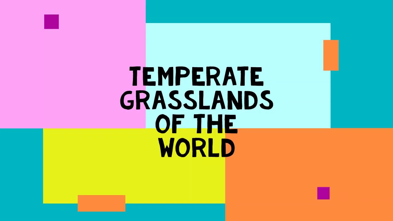TEMPERATE GRASSLANDS VIDEO #ICSE GEOGRAPHY #NATURAL REGIONS AND BIOMES OF THE WORLD