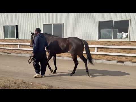 {{itemName}}_video_thumbnail