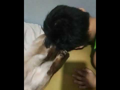 Pusa ayaw gumalaw😂