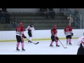 Pink Out Slap Shot Goal