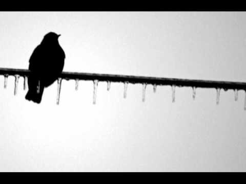 Toby Lightman - Slippin