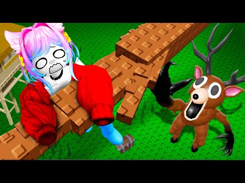 99 NOTTI NELLA FORESTA MA OGNI GIORNO È MALEDETTO.