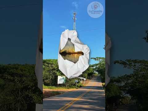 Paisajes espectaculares que resaltan lo bello de nuestro municipio de Solita Caquetá