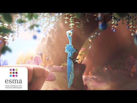 Thumbnail of the video: Plum - ESMA 2022