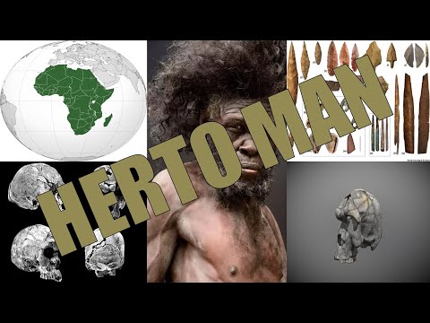 Homo Sapien Idaltu | Herto Man