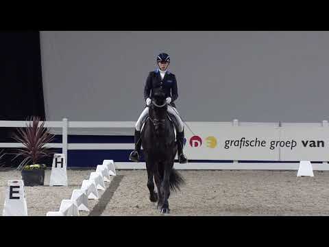 Friesian Talent Cup Deel2