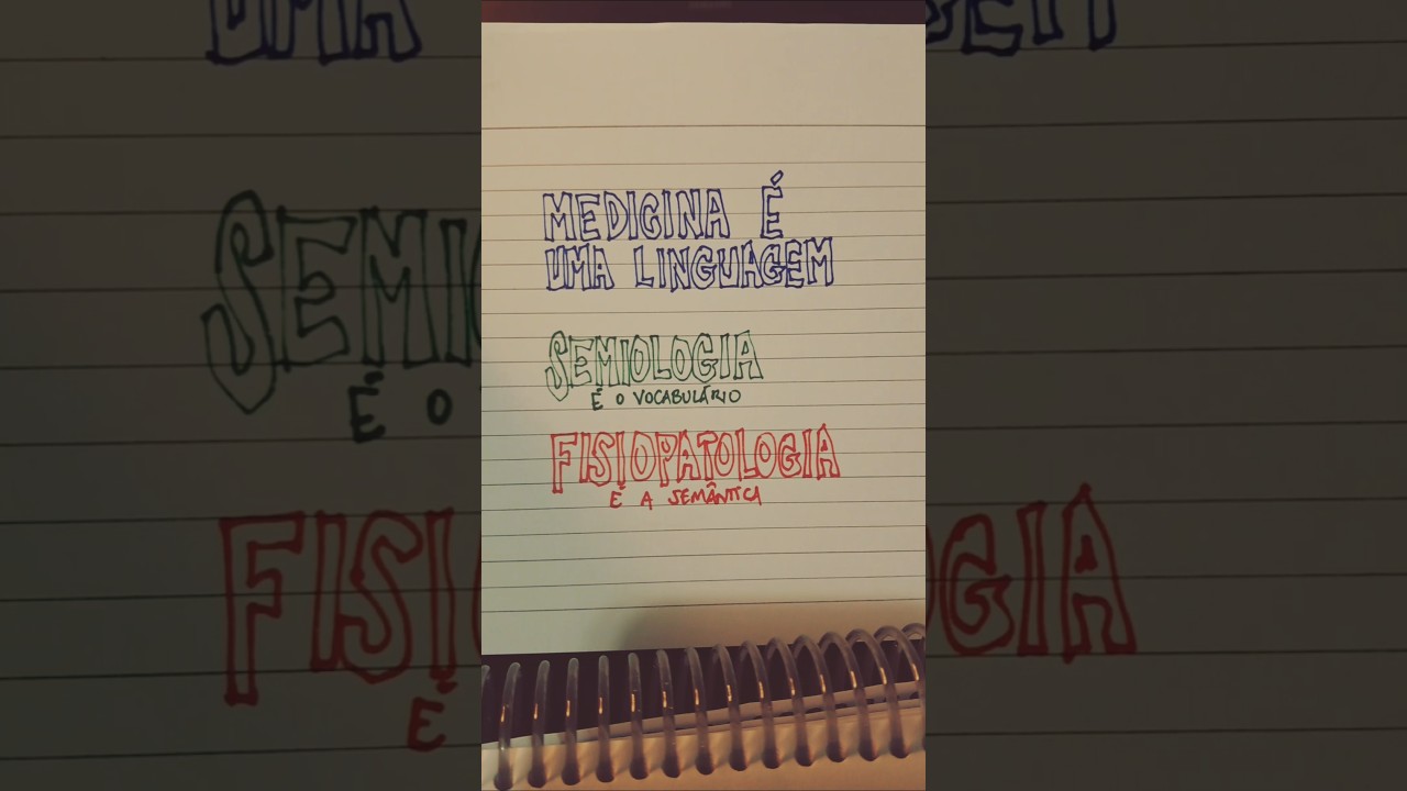 18 de novembro de 2024