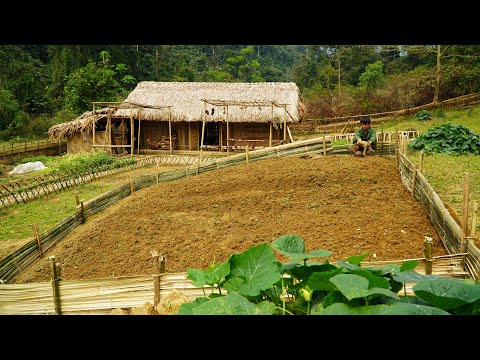 , title : 'Planting Corn and Flowers, Weeding the Garden, Chicken Care| Daily work on the farm|| EP.29'