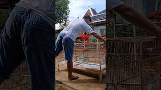 Download lagu sekedar tips nambah durasi #kicaumania #shortsvideo #reels #galerikenariindonesia #kicaumania mp3 Download lagu sekedar tips nambah durasi #kicaumania #shortsvideo #reels #galerikenariindonesia #kicaumania mp3