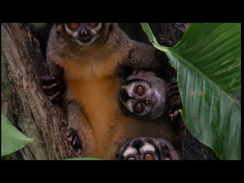 Getting Banned in GTA RP