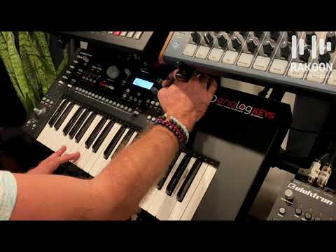 Elektron Analog Keys Review (Rakoon Sound Studios Tips and Tricks)