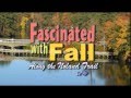 The Noland Trail (Fascinated with Fall featuring ...