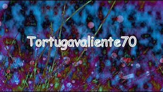 They Might Be Giants - Hopeless Bleak Despair (Inglés - Español)