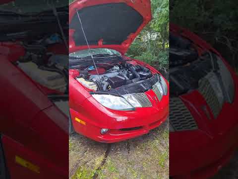 2005 Pontiac Sunfire with a 2.2 EcoTech. Project?????