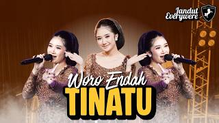 Download lagu TINATU - WORO ENDAH  | JANDUT EVERYWHERE ( LIVE MUSIC) mp3