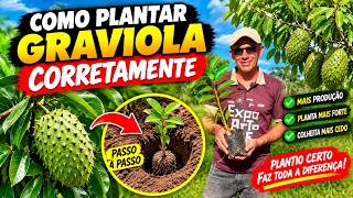 COMO PLANTAR GRAVIOLA CORRETAMENTE 🌱🍈 | Passo a Passo Para o Pé Crescer Forte e Dar Muitos Frutos