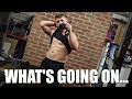 WHATS GOING ON!? Life and Diet UPDATE