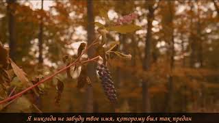 Anorexia Nervosa - Sister September (fanmade video + перевод)