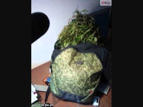 DWS - Ejj Zapal Jointa