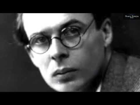Aldous Huxley x George Orwell