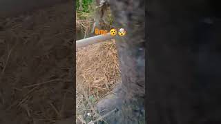 Omg 🤯🥳 magic sound #short trending viral video