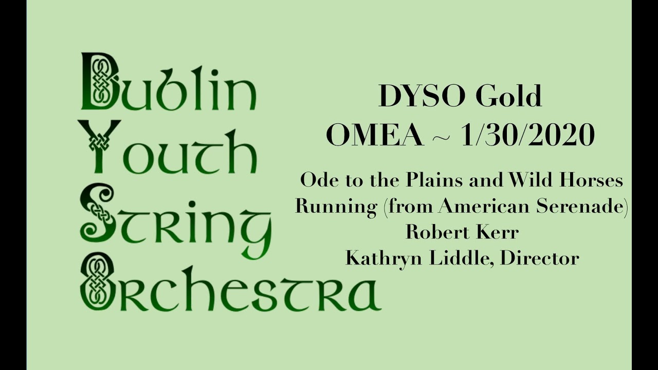 DYSO Performance