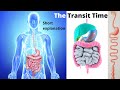 Transit Time in Digestive process. Movement of nutrients through digestive tract. Mouth to anus.