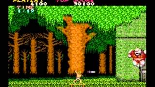 GHOSTS 'N GOBLINS (ARCADE / PS2)