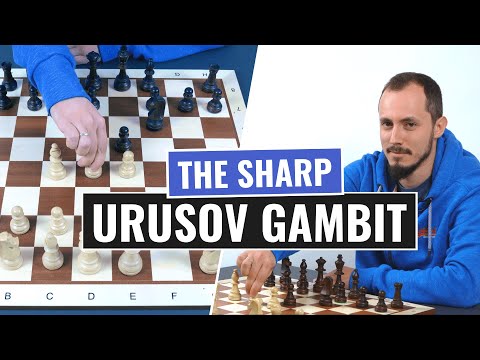 The Urusov Gambit | Attacking Gambit in the Bishop's Opening | Chess Openings | IM Andrey Ostrovskiy