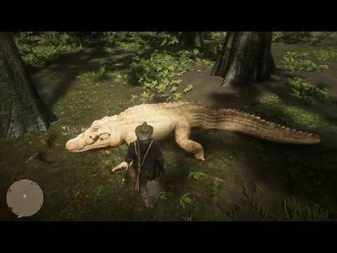 Red Dead Redemption 2 Legendary Alligator Location / Fundort Legendärer Alligator RDR2
