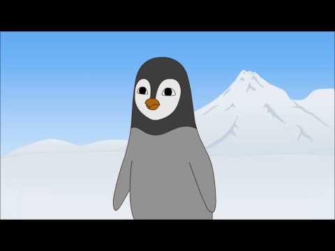 Snowy el ingenuo | Cortometraje