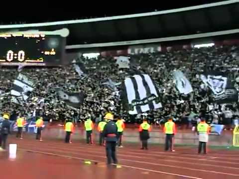 Gde god ti da igras Madness-Grobari Jug